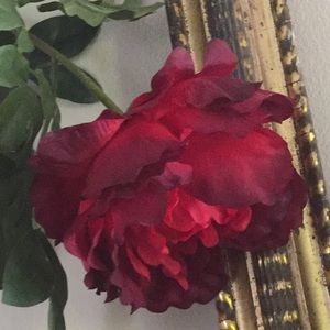 Meet your Posher, Stefanie